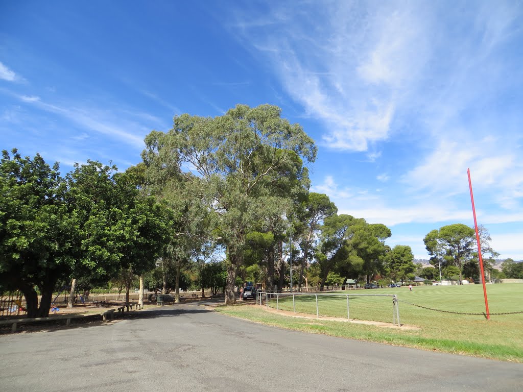 View alongside Lyndoch Football Oval, in SA, on 17-03-2013 by Peter John Tate,