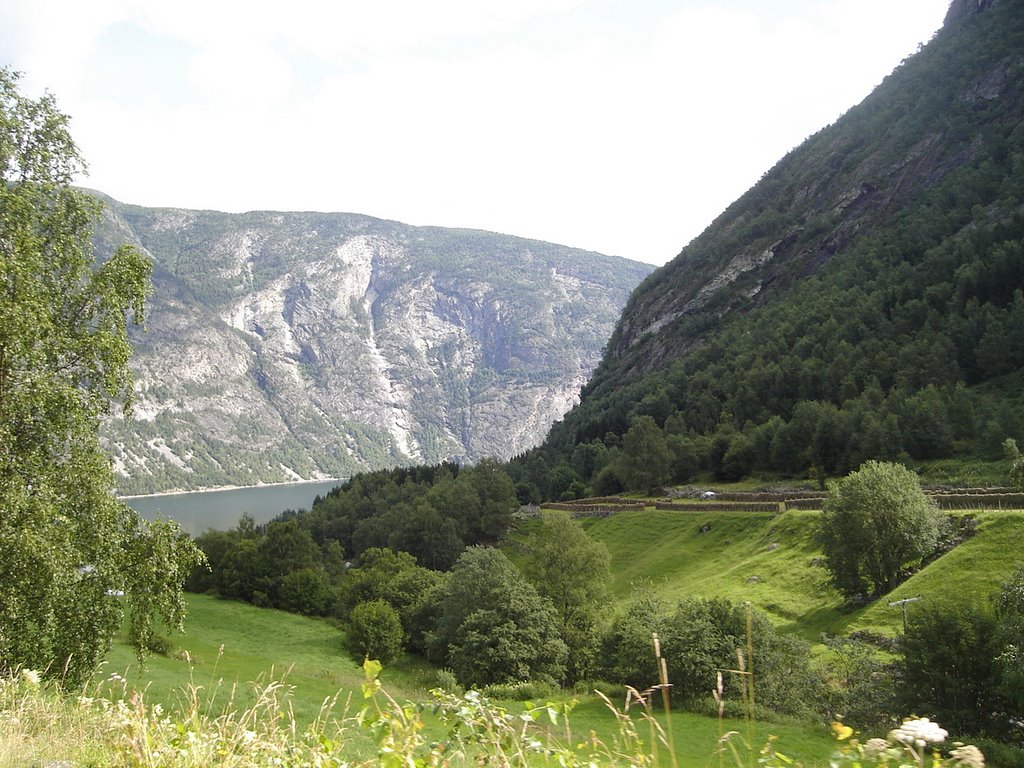 NORWAY, SOGN OG FJORDANE: Horndalen and Laerdalsfjorden by Ashraf Nassef