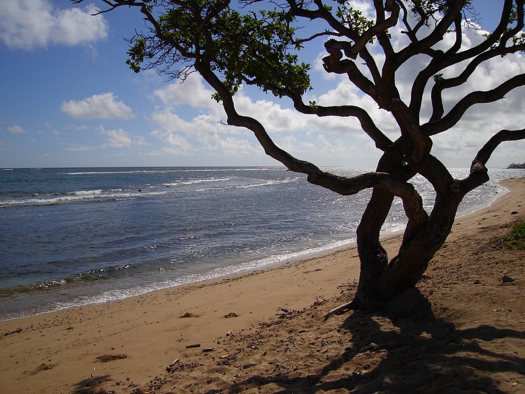 Hauula Beach by mreplant