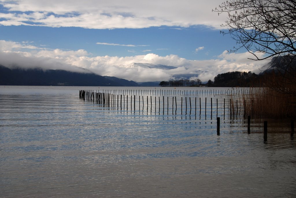 Lac du Bourget by yves floret