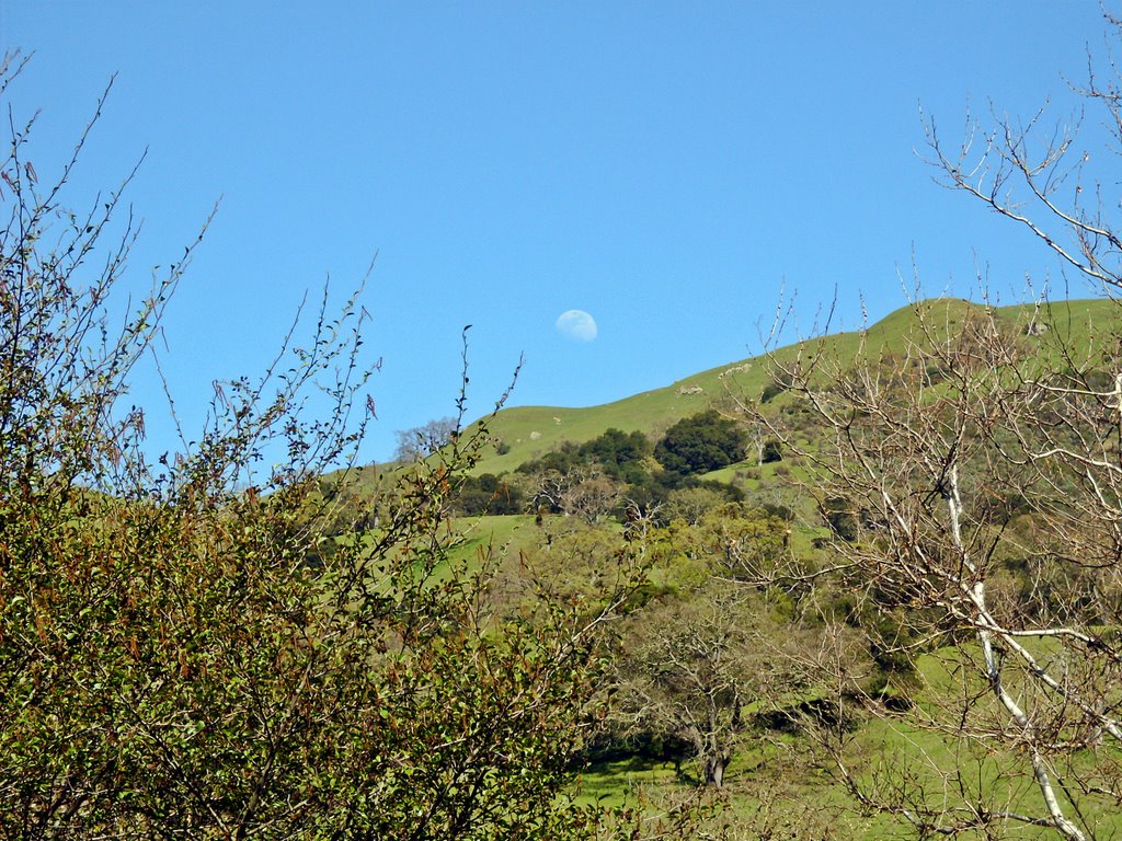 Moon Over The Ridge by Stephen Scarpaci