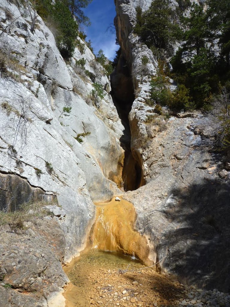 La Garganta, a la rasa dels Forats by Isidre Blanc