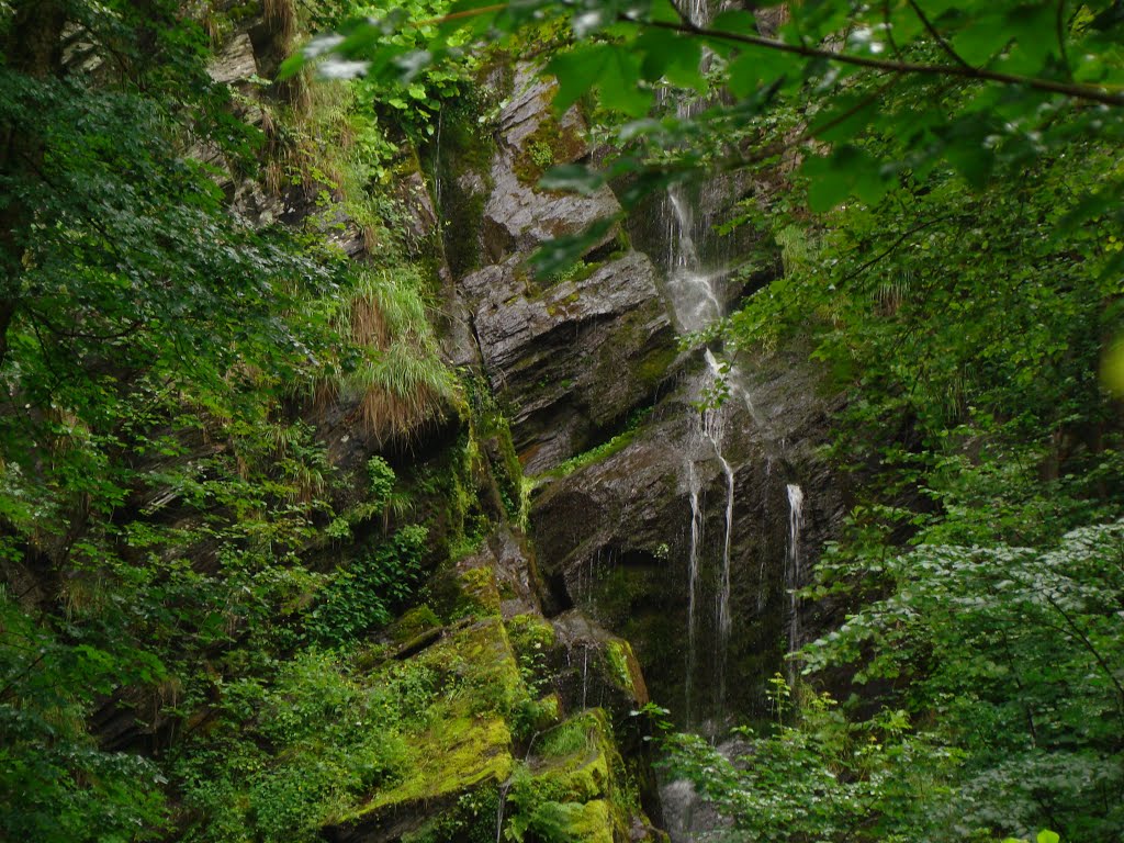 Rothaargebirge (Wasserfall ,,Plästerlegge") Juli 2012 by DortmundWestfalica