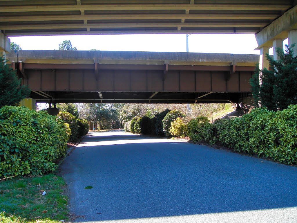 VIRGINIA: HAMPTON: view down South Boxwood Street under I-64 by Douglas W. Reynolds, Jr.