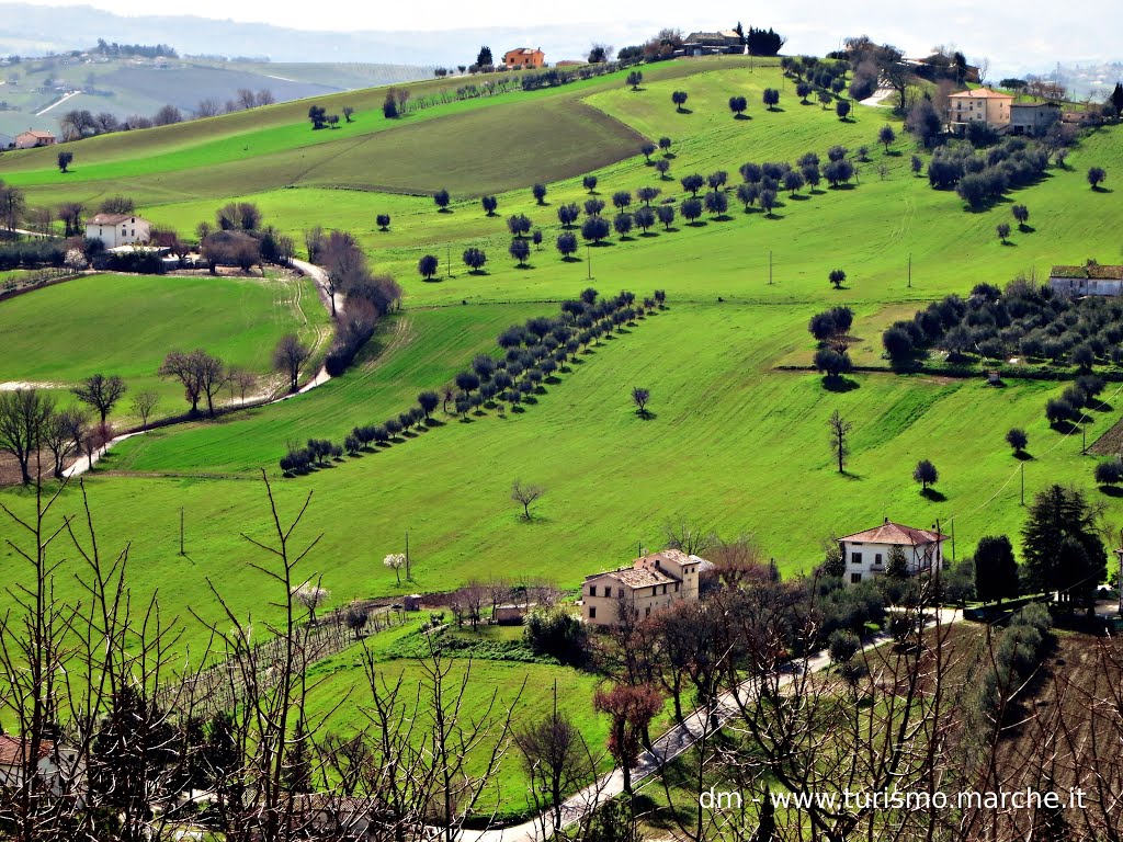 Corinaldo (AN): Panorama by Marchetourism