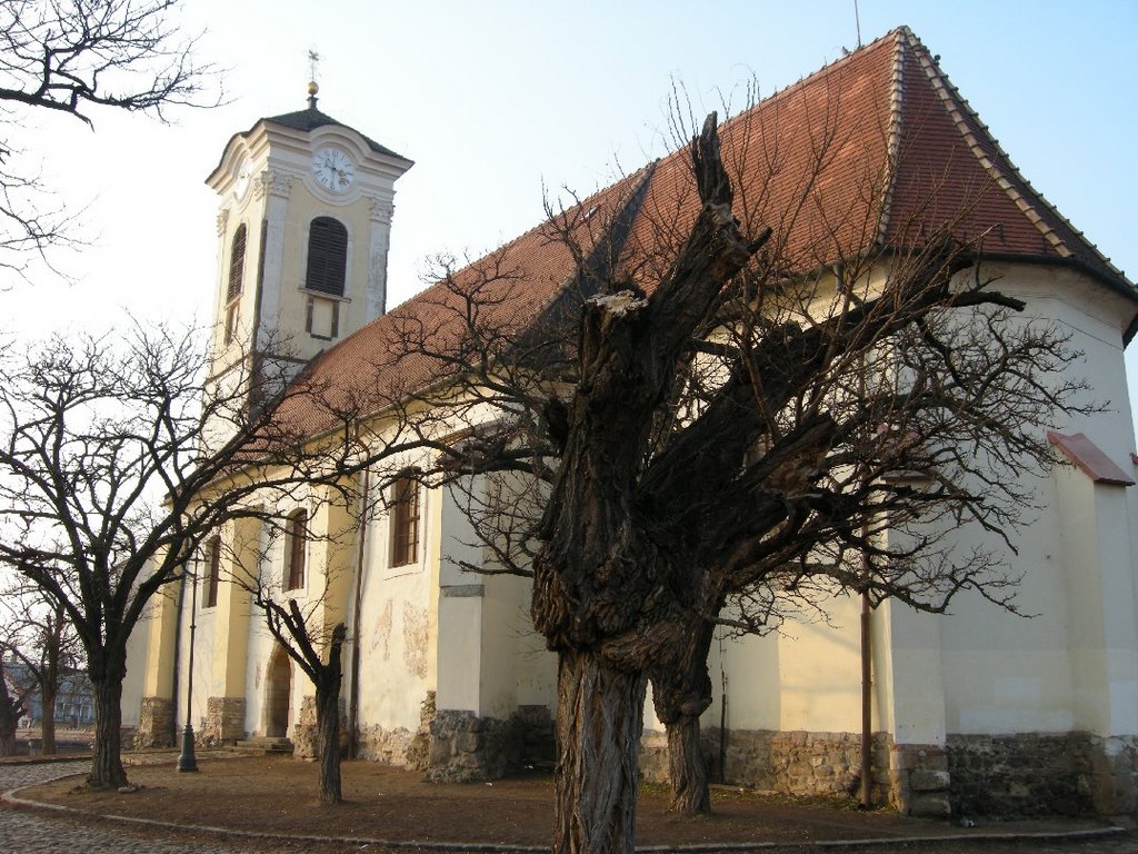 Szentendre by Jorge L. Zavala