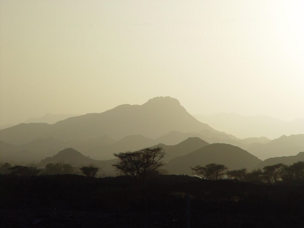 Jed-Med Desert Road by Ihab Coutry