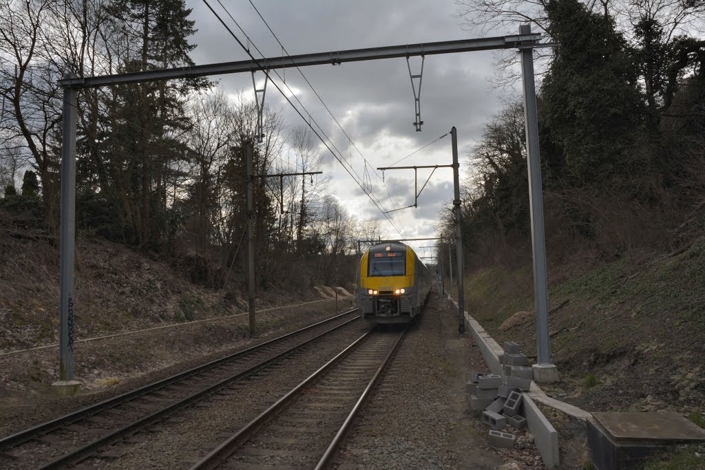 Desiro à Saint-Job. by Azariel