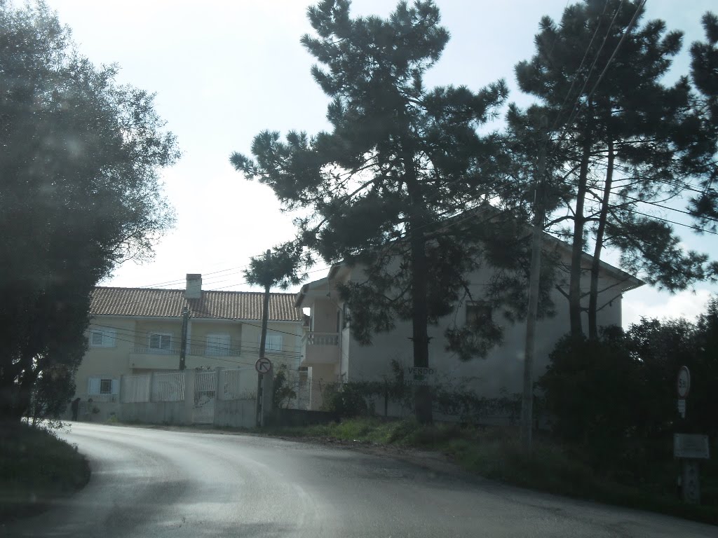 Rua Quinta de Cima by PortugalPhotos