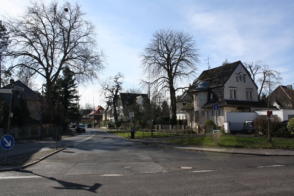 Villenkolonie Sürth / Residential subdivision Sürth by koelschejuergen