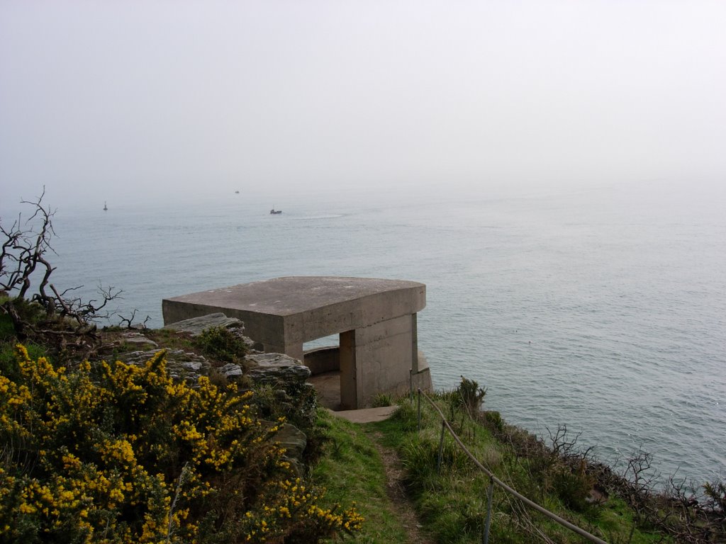 Gun enplacements at Froward Point by thehugefamily