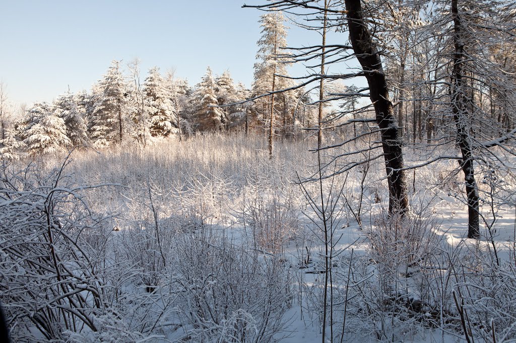 After the storm, late winter #3 by waynebrink