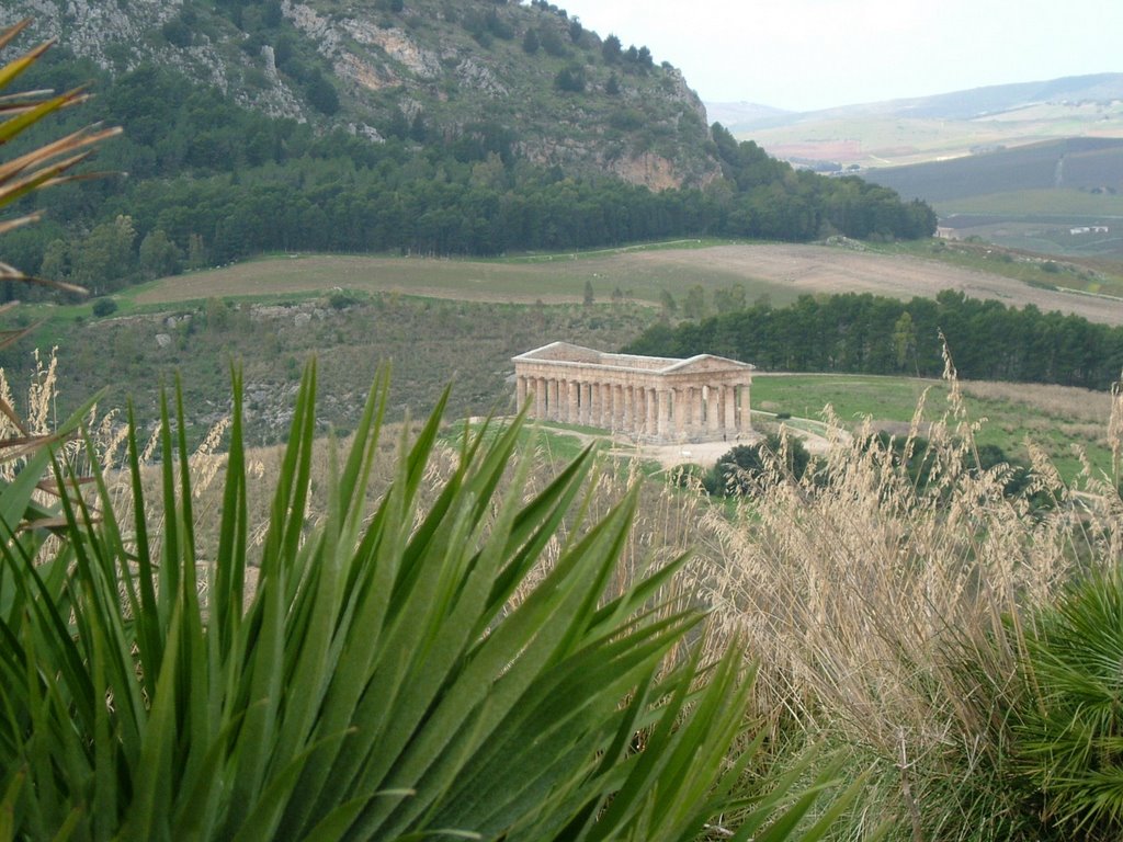 Segesta by Nick Knack