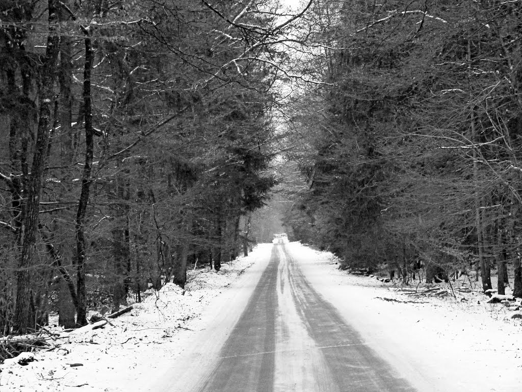 Winter im Teutoburger Wald by Farlang