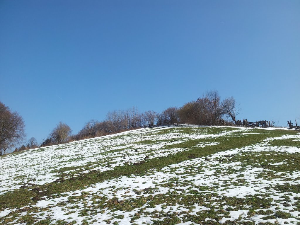 Panorama Traisental by Rainer.r