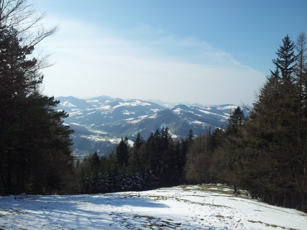 Panorama Traisental by Rainer.r