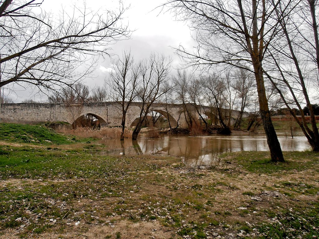 Puenteduero ( Valladolid ) by JoeCat