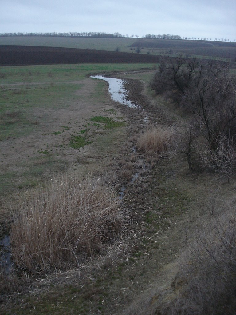 Kominternivs'kyi district, Odessa Oblast, Ukraine by ©Bushmaster