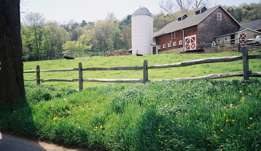 Farm in NJ-Far Hills by sfcardwell