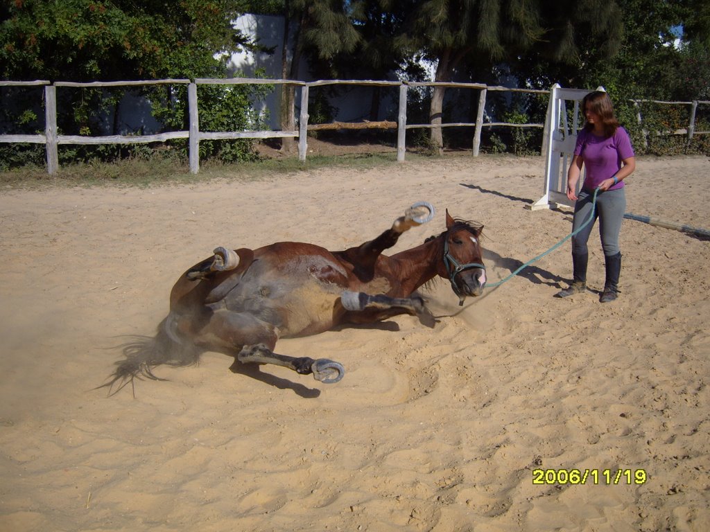 Reitstall vom Hotel "Le Sultan", ein Sandbad nach dem Reiten. by frische Luft