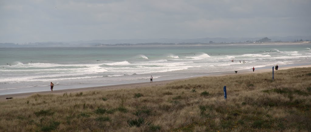 Tauranga, North Island, New Zealand by tarth701