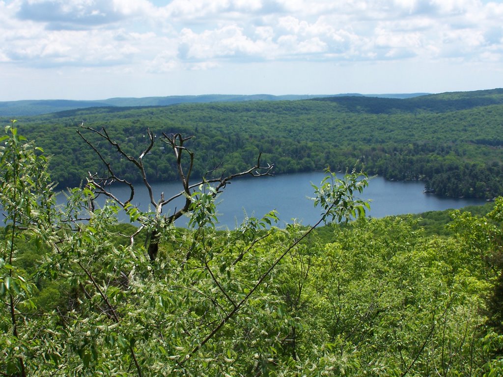 Harriman Park by sfcardwell