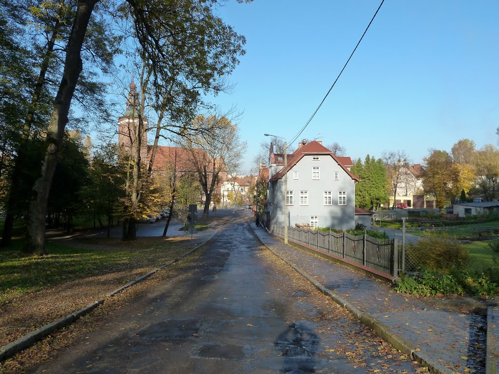 Lidzbark Warmiński, ul. Krasickiego. [Widok z SSW, 20.10.2012] by PW75