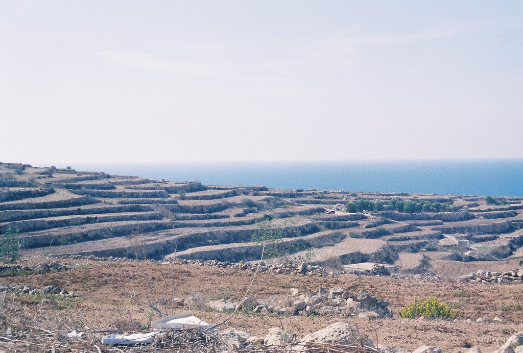 Gozo stepped farms by sfcardwell