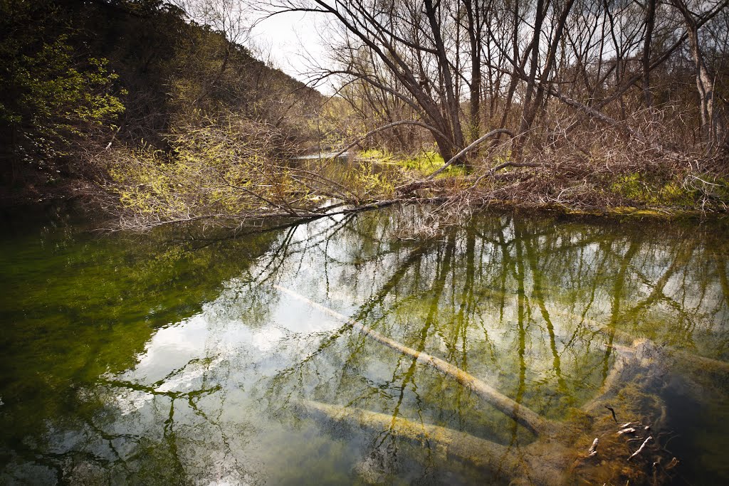 Reflections by Matt Peoples