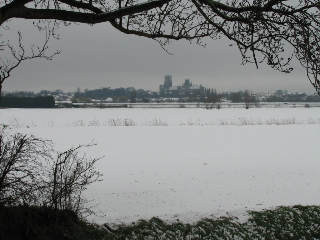 Ely Cathedral snow 23rd March 2008 by Hogan of Grenada