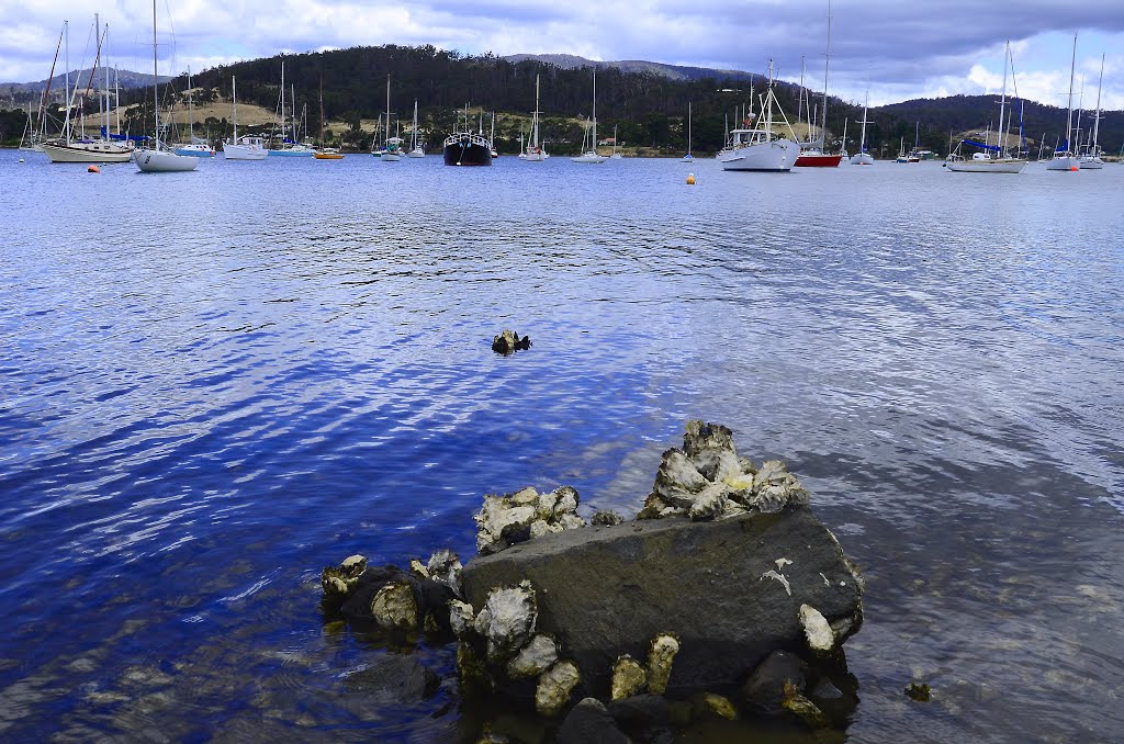 Cygnet Bay, Tasmania, Australia by ronrainbow