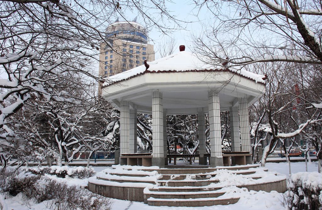 冬天的青年公园Qingnian Park in Winter by wanghongtao999