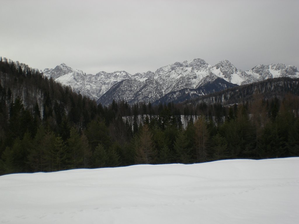 Panorama dalla malga Gacceman by Boldrinigl