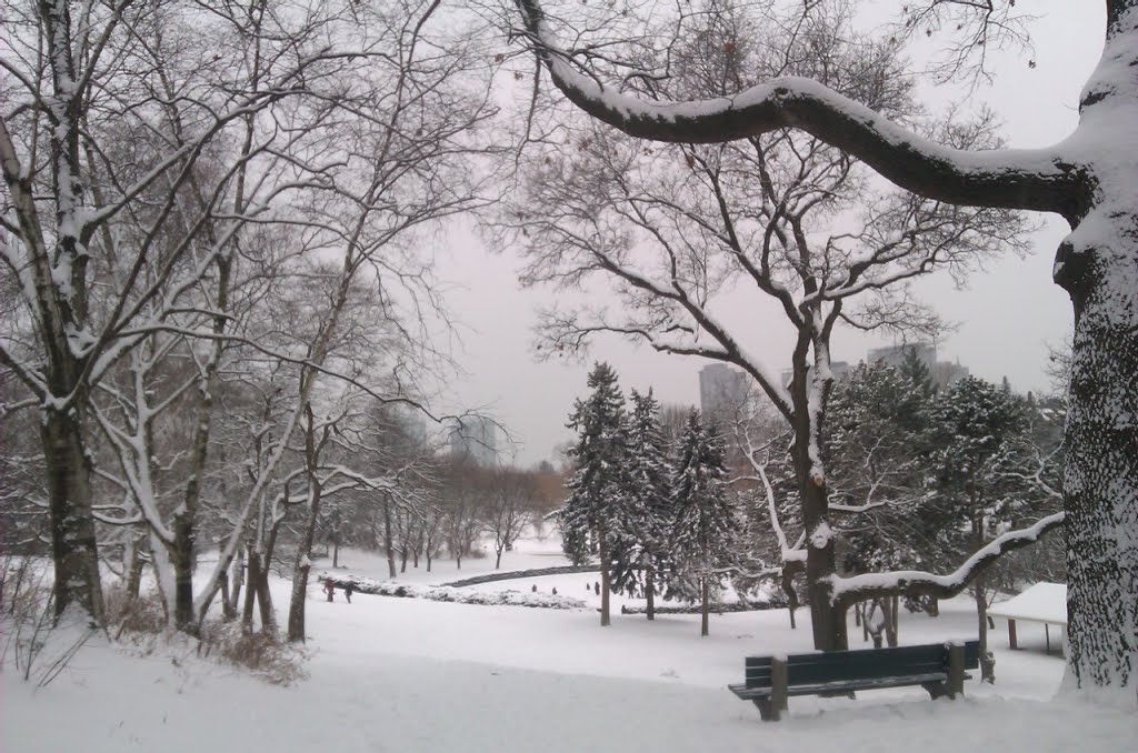 Toronto High Park in Winter by Erica Chang