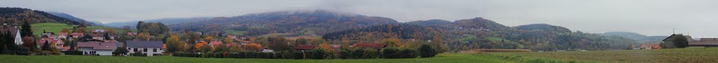 Germany,Bayerischer Wald,Landkreis Deggendorf by Nagorjan