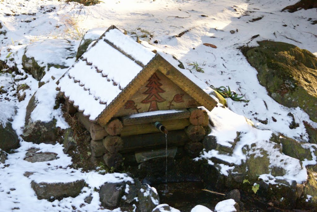 Quelle an der Bergwacht im oberen Thumkuhlental (Harz) by Altmeister