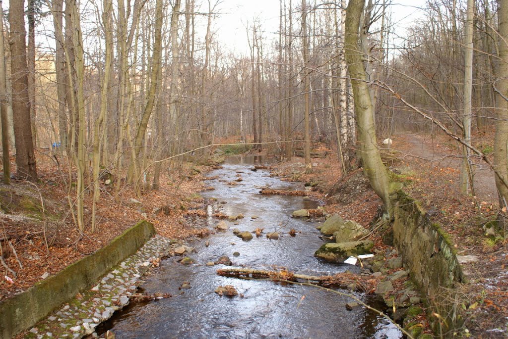 Holtemme am Haltepunkt Steinerne Renne (Harz) by Altmeister