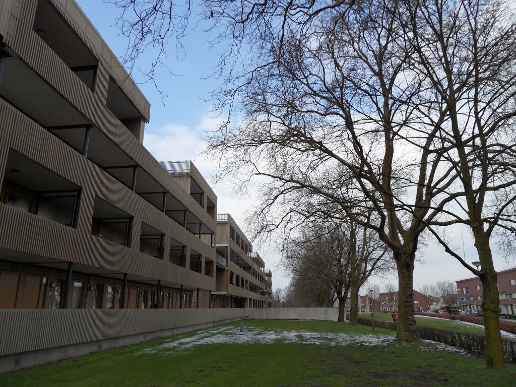 NL - Venray - Servaashof (eigentijdse appartementen met houten bekleding) by Danny Danckaert