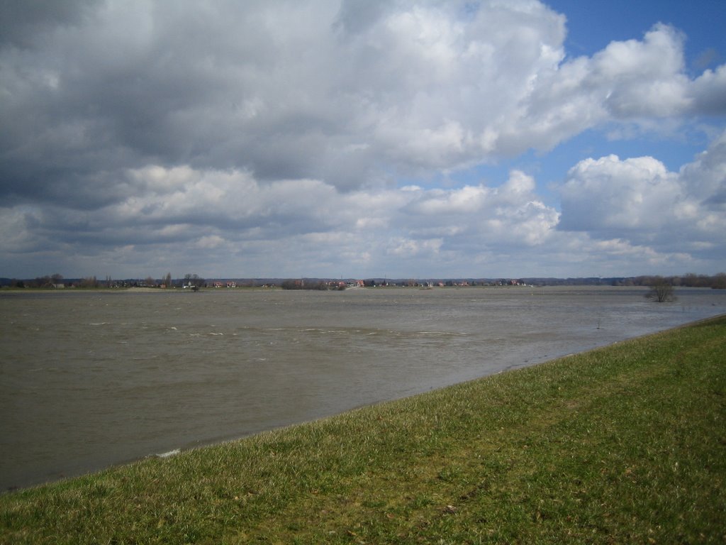 Hochwasser an der Elbe by tiptop