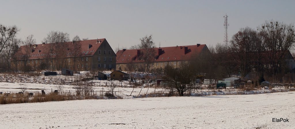 Chojna. Budynki mieszkalne na dawnym lotnisku. by elapok