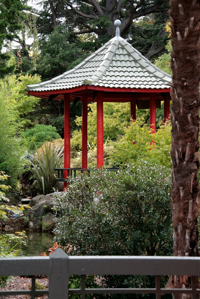 Pagoda amongst the trees by D B W