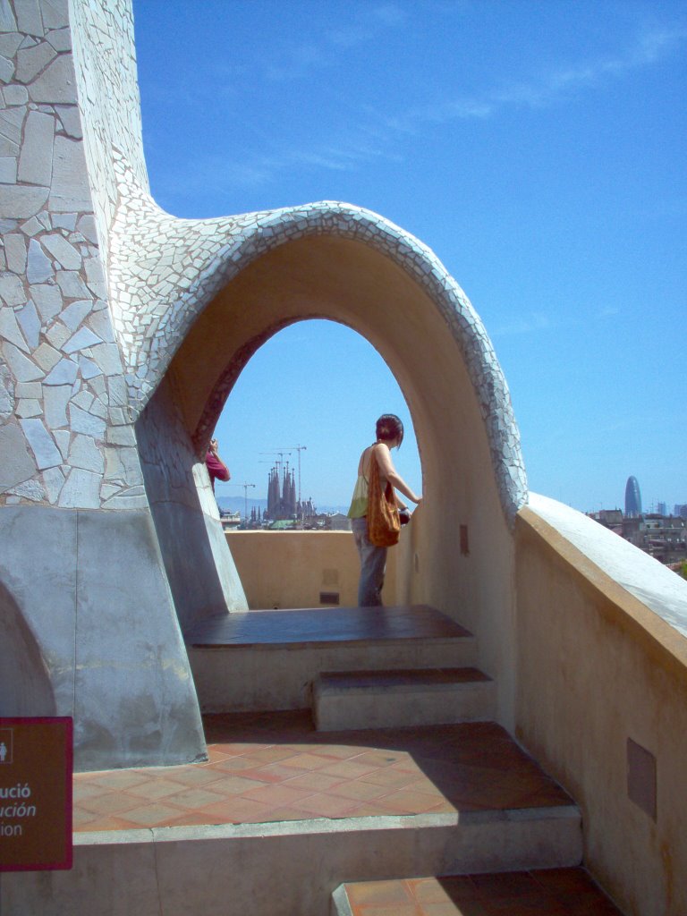 Toit de la Casa Batlo by tayat07