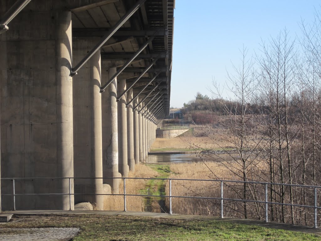 Muldebrücke by Hitman_