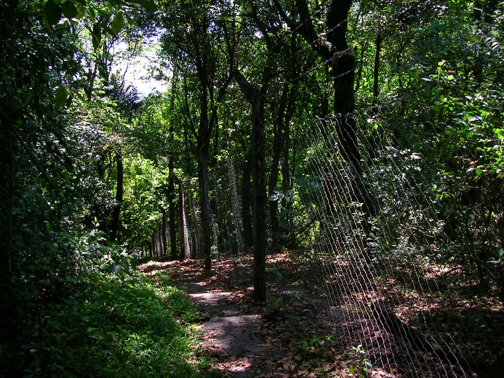 VISTA DE LA CERCA OLIMPICA , DONDE LOS ANIMALES ESTAN EN SEMICAUTIVIDAD. by Jose Luis Tisone