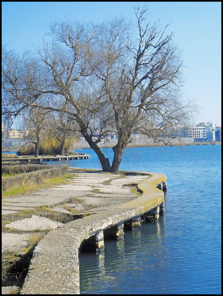 Parcul Tăbăcăriei by Sergiu Gabriel Sîrbu