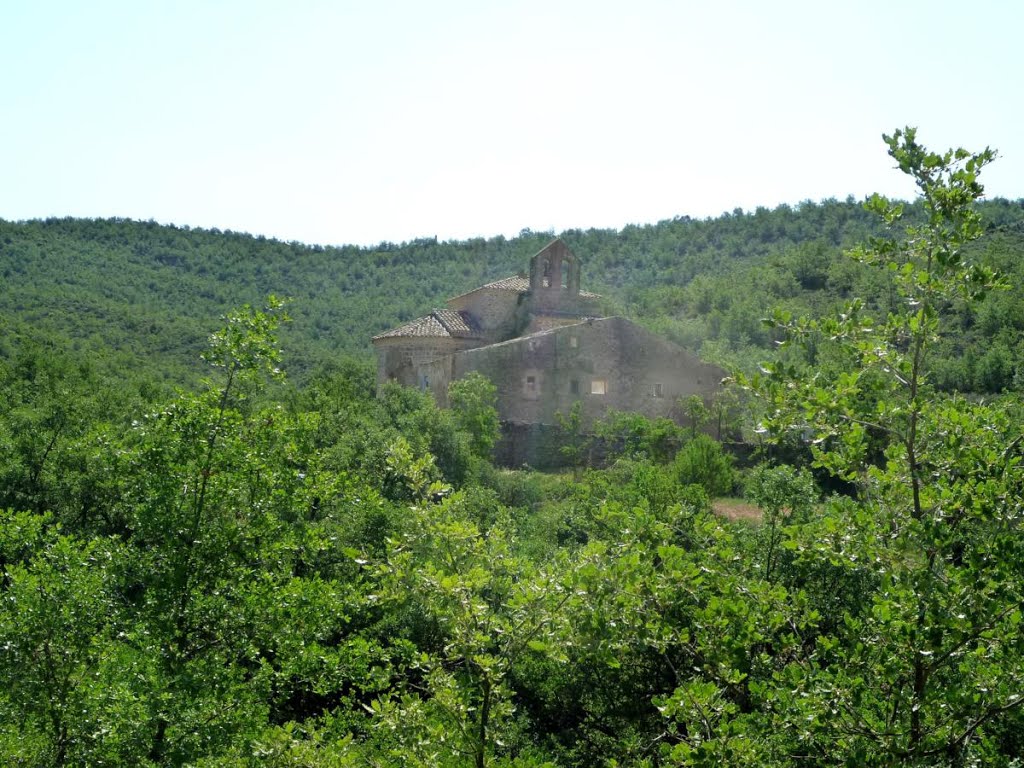 Monestir de Cellers by Isidre Blanc