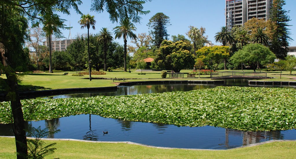 Queens Gardens, East Perth by bobpercy