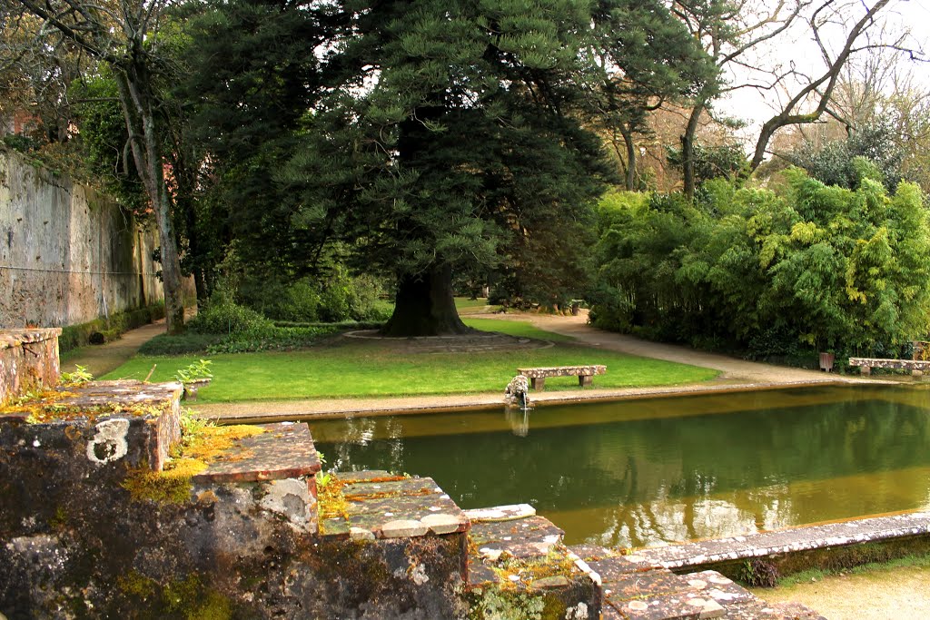 Parque Botânico do Monteiro-Mor, Lumiar, Lisboa, Portugal by Margarida Bico