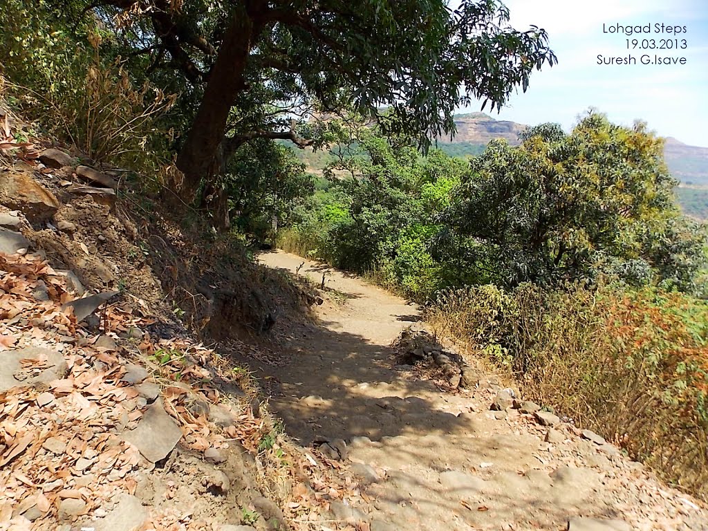 Way to Lohgad Fort by Suresh.G.Isave