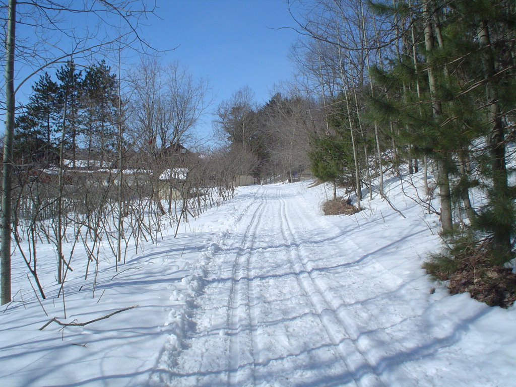 Mansfield X-Country Skiing - Green Trail - Looking West, lodge on the left by amorgan